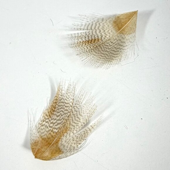 Vintage FLEUR de LIS Cobalt/Purple Felt Cloche Fascinator Hat Blue Feather Italy - Picture 11 of 11